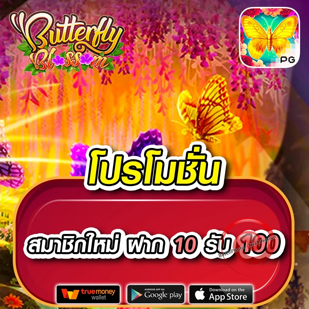 Rockstar66 เว็บตรง